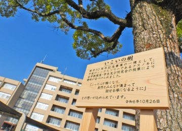 「【開学50周年記念事業】中庭シンボルツリーの愛称が決定し、看板が設置されました」へリンク